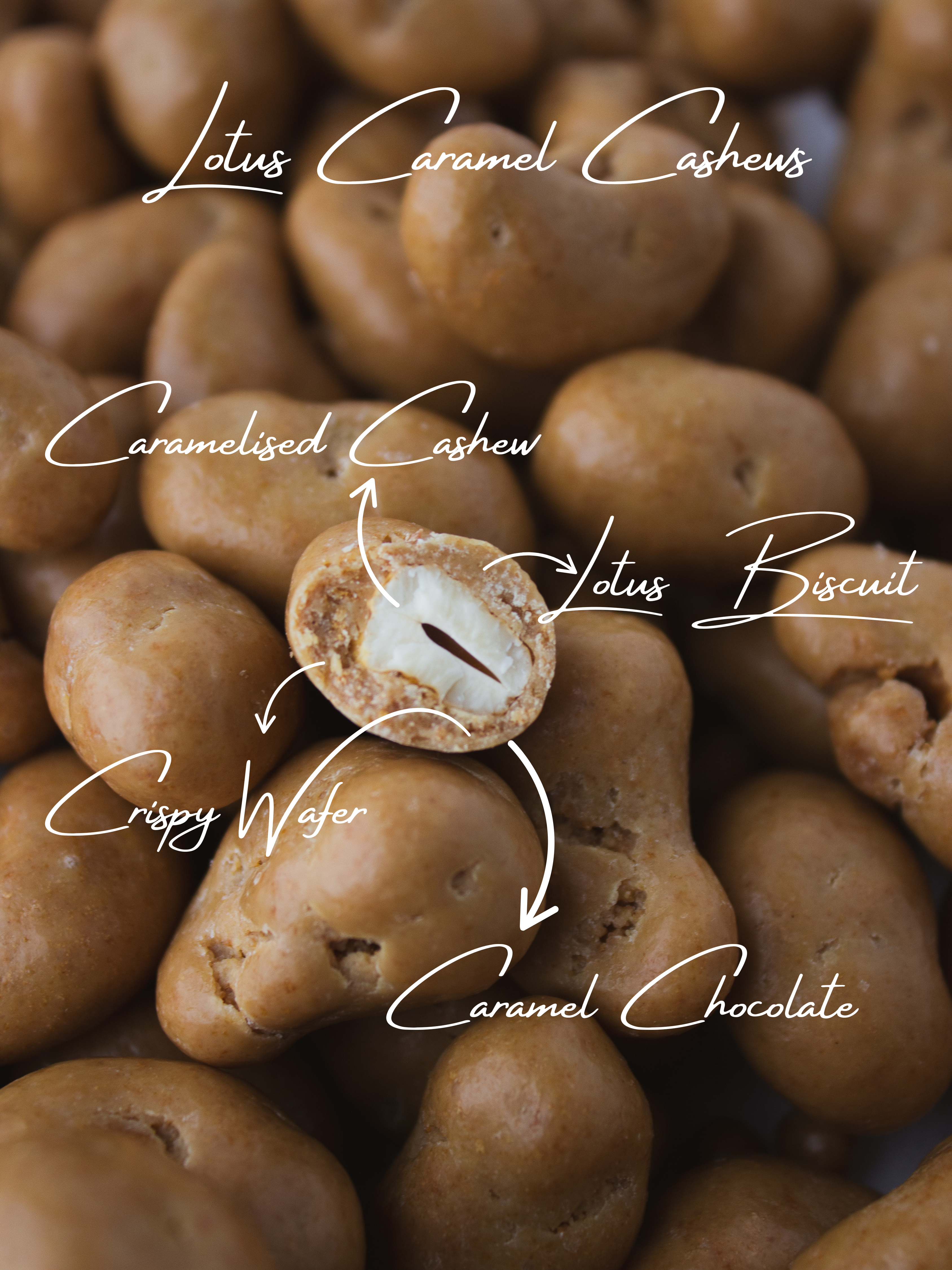 Caramel Chocolate & Lotus Biscuit Coated Cashew Nuts