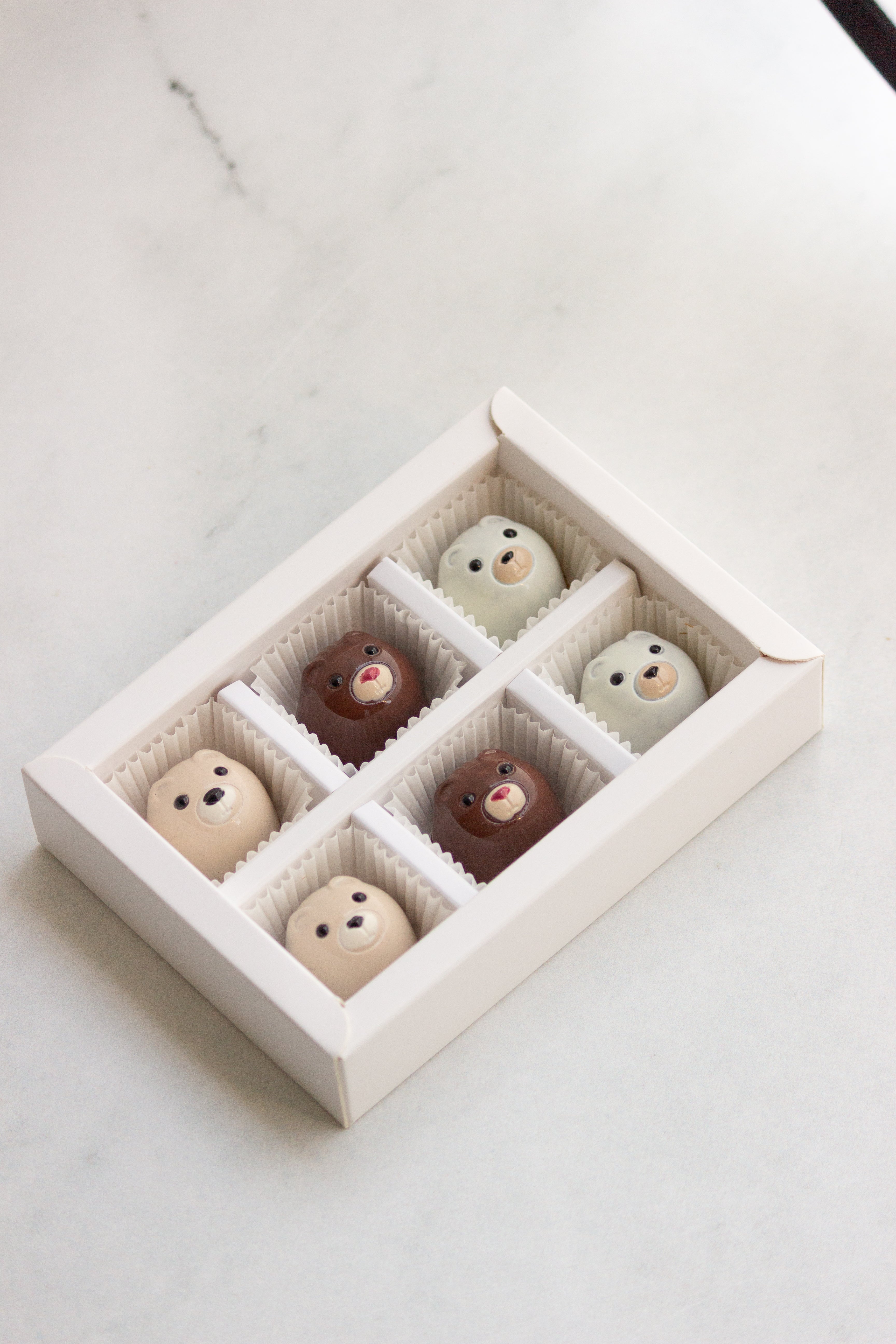 The Bear Necessities - 6 Piece