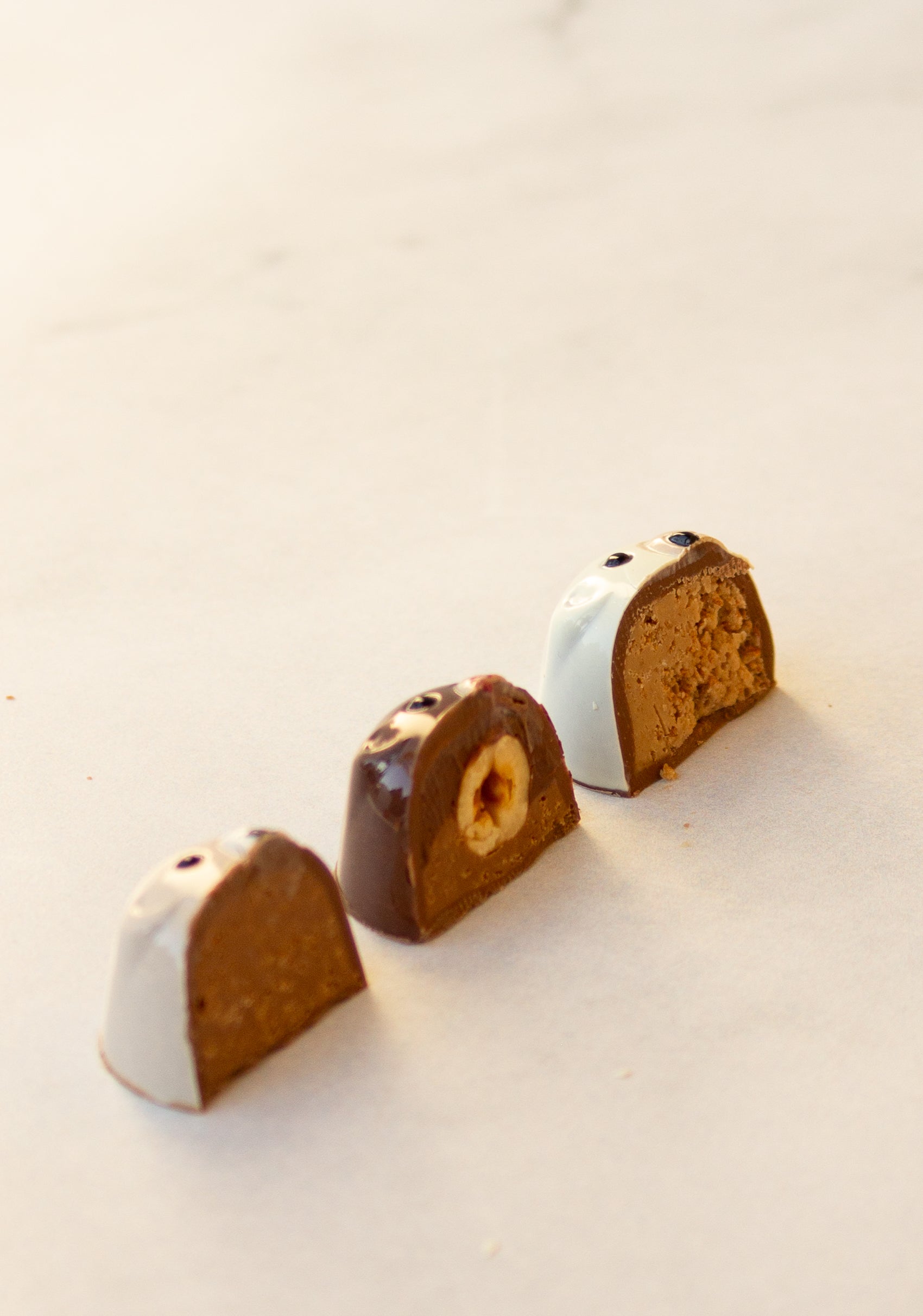 The Bear Necessities - 6 Piece